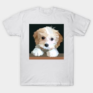 Cute Cavachon Dog T-Shirt